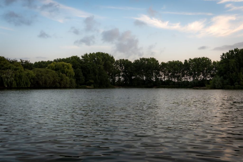 Claudia Thoen | Holistisch Therapeut in Naaldwijk | Jouw Licht Leven
